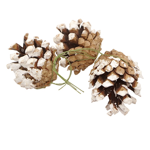 リースパーツ 『松かさL 雪付 ワイヤー付 3個入り XM-303』 大前