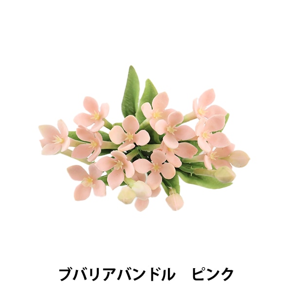 1_000000057608.jpg?1678209902