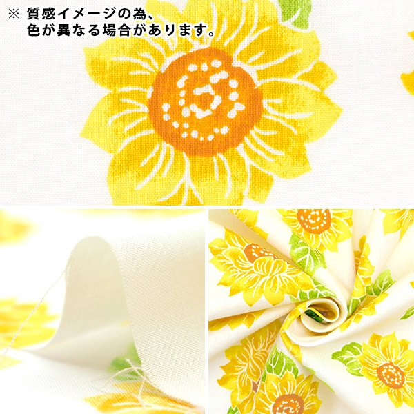 数量5から】 生地 『スケア キッズフェス ひまわり ネイビー