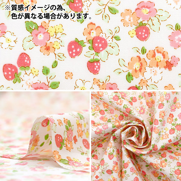 数量5から】 生地 『ブロード ファインドミー いちごとお花 ブルー