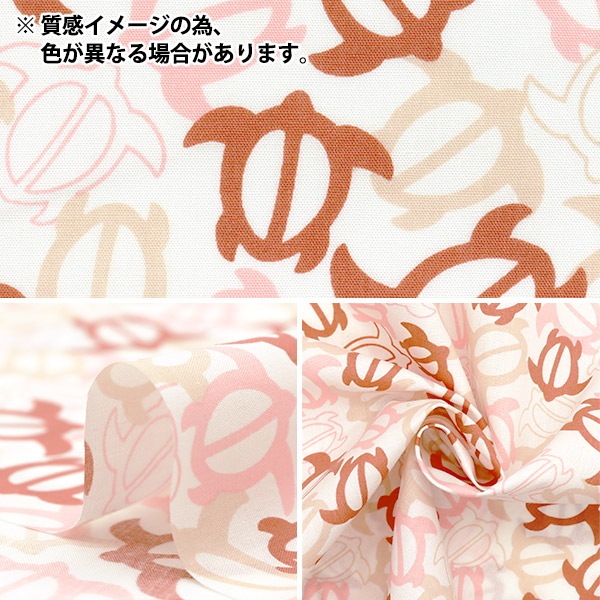 ڿ5  TC ϥ磻ץ ۥ ֥롼 AP4770-2B