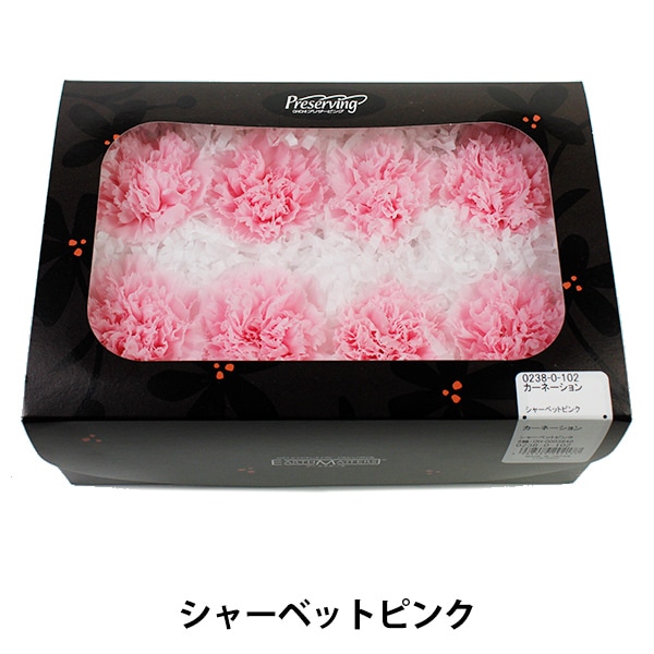 プリザーブドフラワー 『ミニカーネーション ミルフィーユ ホワイト