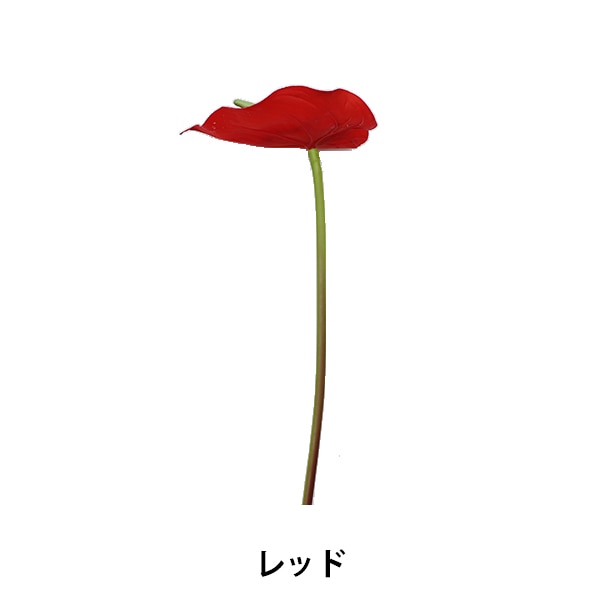 造花 シルクフラワー 『アンスリウム レッド VT-R341』 フラワー