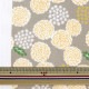 �ڿ���5����� ���� ��NINA(�ˡ���) ���å��� �ޥ������� ���졼 148-1250-A13��