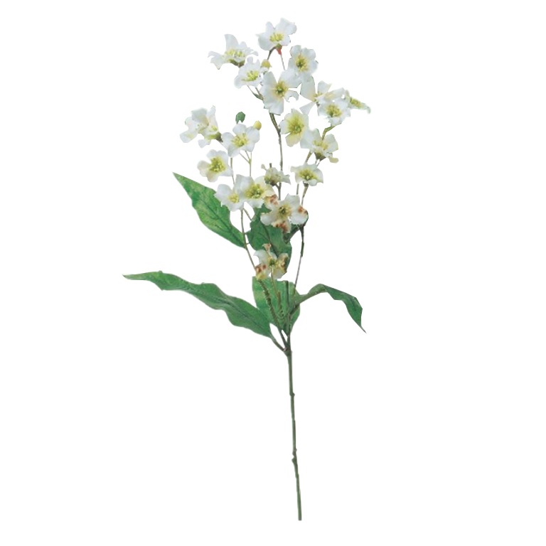 1_000000065612.jpg?1678209902