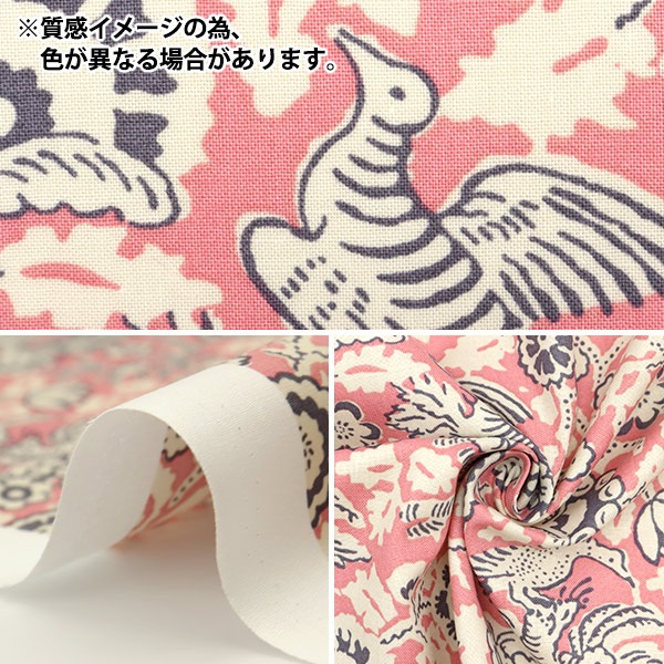 SouleiadoソレイアードJean-Pierre Demery 古書　洋書 SouleiadoソレイアードJean-Pierre Demery 古書洋書