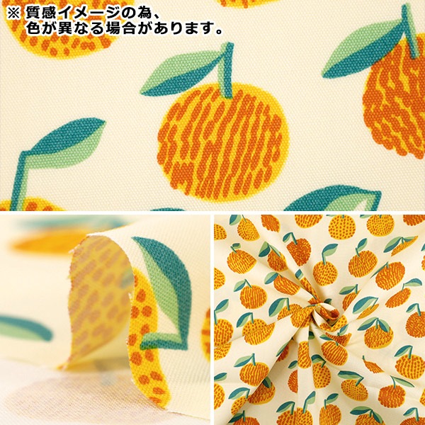 数量5から】 生地 『kippis (キッピス) オックス みかん クリーム KPO
