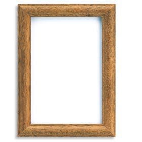 �ɤ��夦�� �إե졼�� (W-21)�� Olympus �����ѥ�