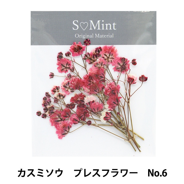 レジン材料 『ドライフラワーカスミソウD マルベリー』 SMint