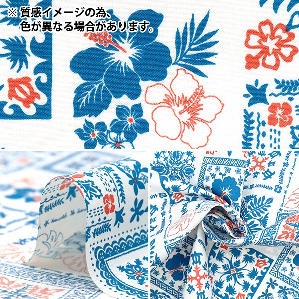 ڿ5  TC ϥ磻ץ ѥå  AP4770-3C