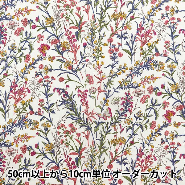 【スター☆バタフライ シーテッドリバティ 1853年/56年/57年/87 スター☆バタフライ シーテッドリバティ 1853年/56年/57年/87