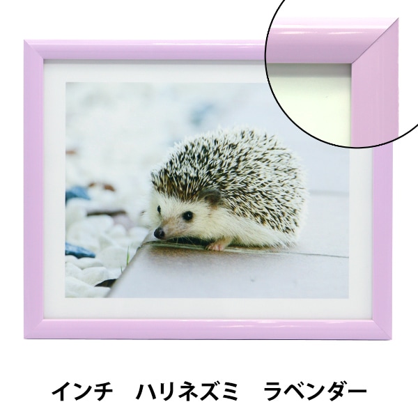 額 『インチ額F 5887型 ハリネズミ ラベンダー I-5887-LV』 画材・文具