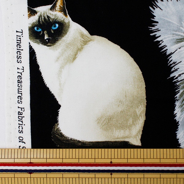 &エルシー猫プリント パンツ 楽天市場】ショーツ 猫 プリントの通販