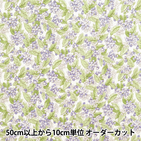 ソックヤーン 毛糸 『Paradise (パラダイス) 6ply 11025番色』 Opal