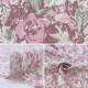 �ڸ��ʸ¤�ۡڿ���5����� ���� �إ��å��� ���ϲ��� CC153134-2�� YUWA ͭ�ؾ�Ź �����ޥ󥳥쥯�����