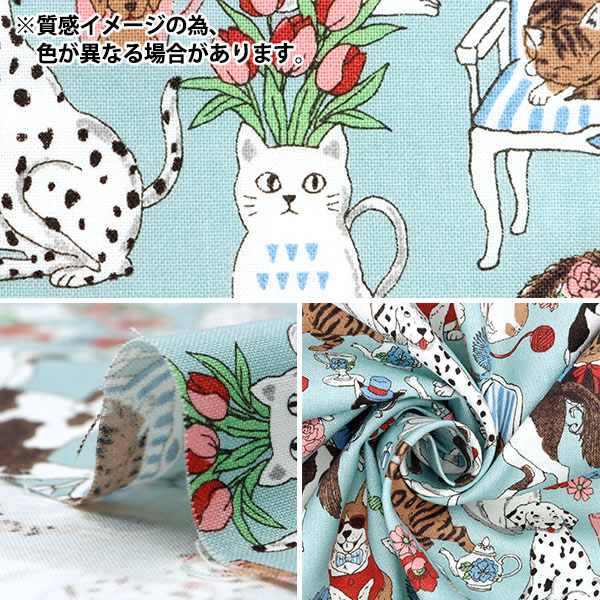 アニマルレディ　ヤマメ戸河内 5年 Animal Ladies - Lady Yamame 戸河内2019 5yo 500ml |