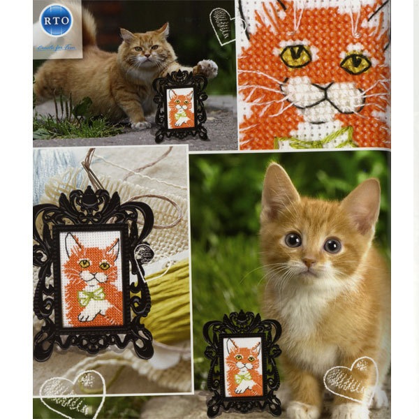 ͢���ɤ��夦���å� ��RTO ͢���ɽ����å� Red Cat FA0030��
