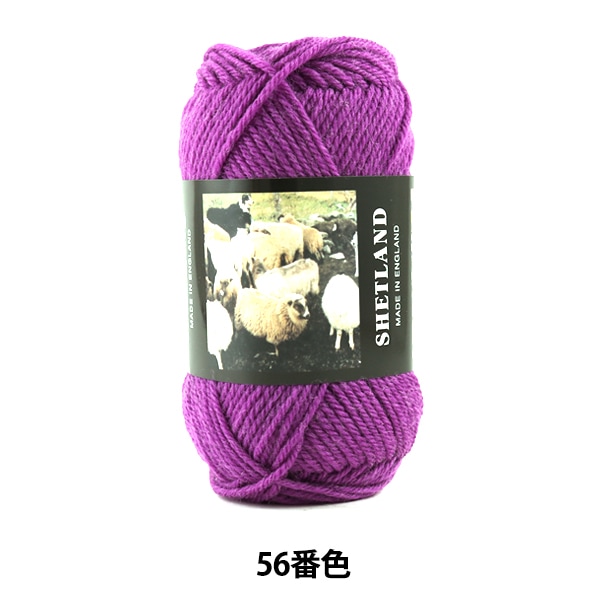 ӻ SHETLAND (åȥ) 56ֿ Puppy ѥԡ