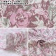 �ڸ��ʸ¤�ۡڿ���5����� ���� �إ��å��� ���ϲ��� CC153134-3�� YUWA ͭ�ؾ�Ź �����ޥ󥳥쥯�����