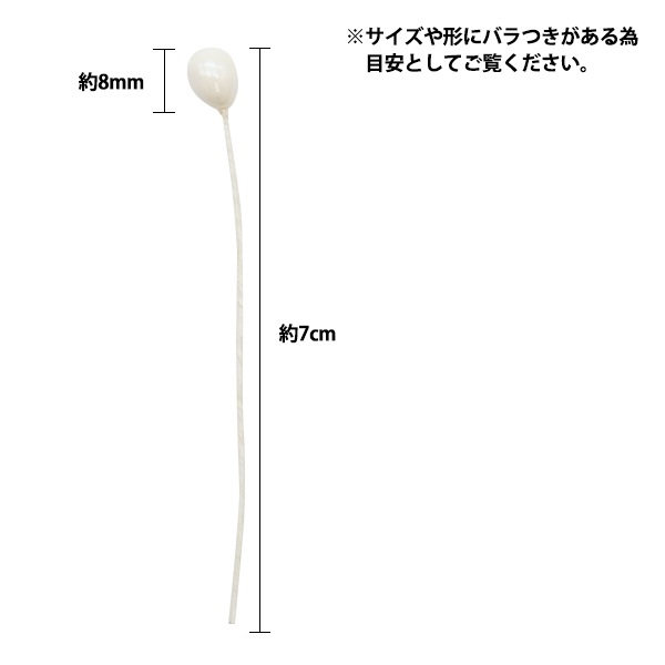アートフラワー材料 『ワックスパールペップ 白』 フラワー,フラワー
