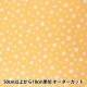 �ڿ���5����� ���� �إۡ��ߡ����쥯����� �ޡ�����å� DH10249S-C��