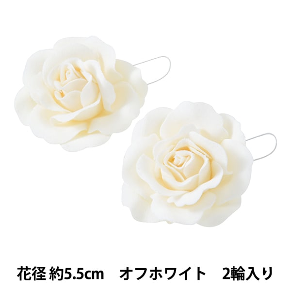 輪花 輪花プレート7寸・黒錆 - tumugi
