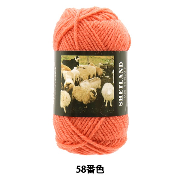 ӻ SHETLAND (åȥ) 58ֿ Puppy ѥԡ