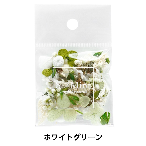 プリザーブドフラワー 『ソフトあじさいアナベル彩楽 グリーンカクテル