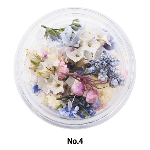 sanflowerおまとめ Amazon.com : 1351- Purple Giant Sunflower..Rare..7 Seeds