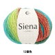 �����ӻ� �إ����� 12�ֿ��� World Selection ���ɥ��쥯����� �ڥ楶��䥪�ꥸ�ʥ��