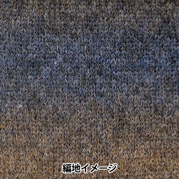 秋冬毛糸 『アルパカレジェーログラデーション 115番色』 RichMore