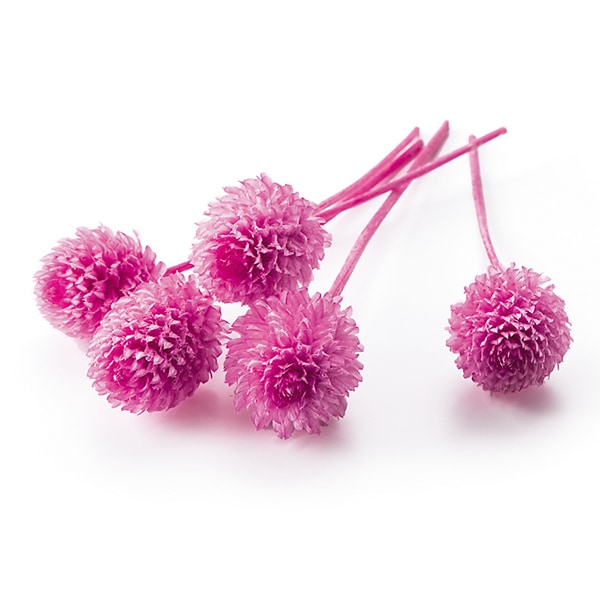 プリザーブドフラワー 『ブルーム ホワイト』 amifa アミファ すべての