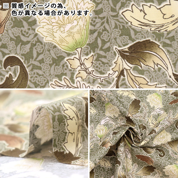 ڸʸ¤ۡڿ5  إ㡼ƥ ꡼ ֥롼졼 CC823178-2 YUWA ͭؾŹ ޥ󥳥쥯