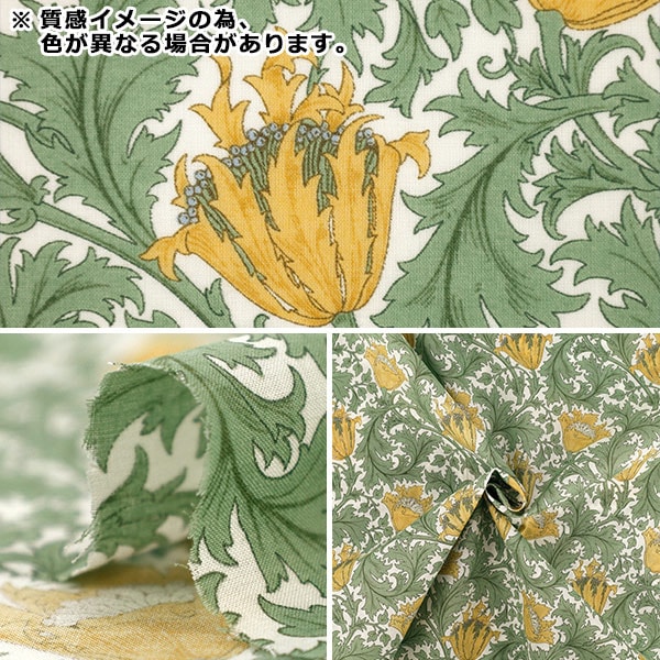 数量5から】 生地 『Morris Heritage 60ローン アネモネ オフホワイト
