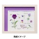 ڻɤ夦åȥ ɤ夦å »ҥ顼쥯 PURPLE (ѡץ) No.964 LECIEN 륷 cosmo 