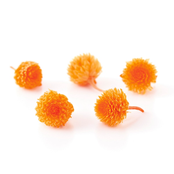 プリザーブドフラワー 『フラワーミックス 4種 ブルー 80862』 すべて