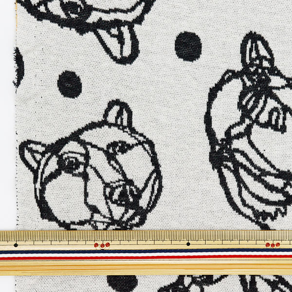 �ڿ���5����� ���� ��HAyU �˥åȥ��㥬���� BEAR �饤�ȥ��졼 EGX-7715-1C�� KOKKA ���å�