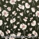 ڿ5  إХƥե֥å ǥץ ե饸㥤֥롼ॹ 3634206S5024B Liberty Japan Хƥѥ