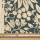 ڿ5  إǥ 󥢡 ܥ꡼ߥ KTS7072-B COTTON KOBAYASHI åȥ󤳤Ф䤷 