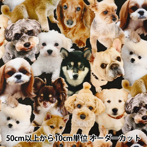 数量5から】 生地 『インクジェットプリント チワワ C3191-PINK』 USA