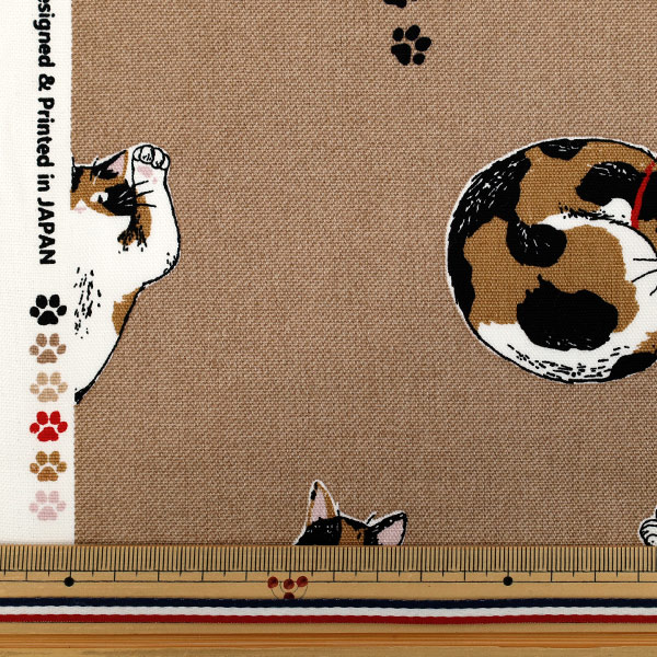数量5から】 生地 『オックス 三毛猫 ブラウン AP52108-2B』 生地,柄