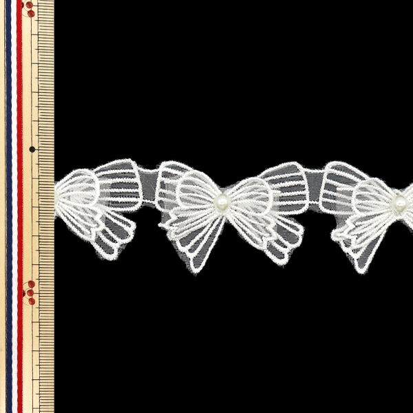 数量5から】 レースリボン 『刺繍リボンオーガンジー ホワイト DCL2440