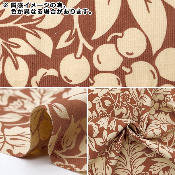 ڿ5  إǥ 󥢡 ܥ꡼ߥ KTS7072-E COTTON KOBAYASHI åȥ󤳤Ф䤷 