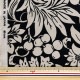 ڿ5  إǥ 󥢡 ܥ꡼ߥ KTS7072-E COTTON KOBAYASHI åȥ󤳤Ф䤷 