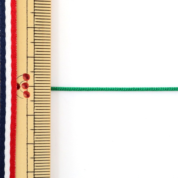 ڿ5 ݤҤ ؤɳ  1mm S-11ֿ