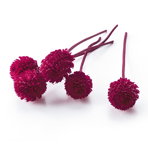 プリザーブドフラワー 『ブルーム ホワイト』 amifa アミファ すべての