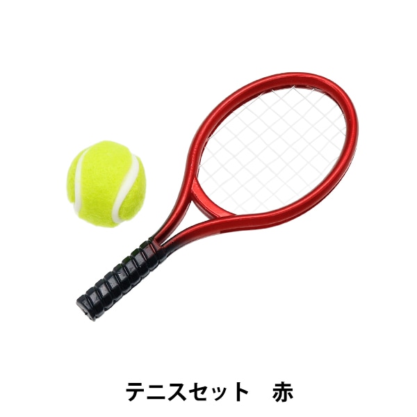 テニス セット カワセ Kaiser JRテニスラケットセット KW-925 (テニスラケット