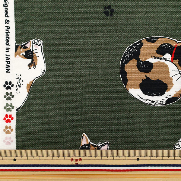 雑種の三毛 三毛（茶トラ＋銀トラ＋白）