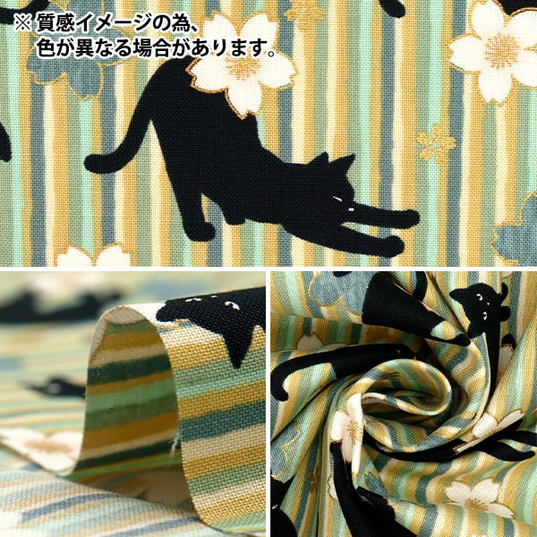 感謝価格(* ᴗ͈ˬᴗ͈)”黒猫ちゃんと少年☆紫外線で色が変わるフラワー 数量5から】 生地 『シーチング 百華繚蘭 黒猫と桜ストライプ レッド