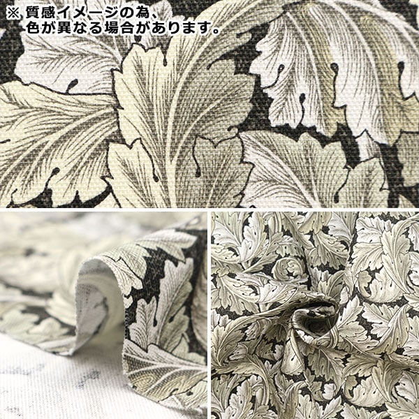 専用　　ユムカアシュ　3コンセット➕緑の世界 専用 ユムカアシュ 3コンセット➕緑の世界 ASSORT BOX SET 4本